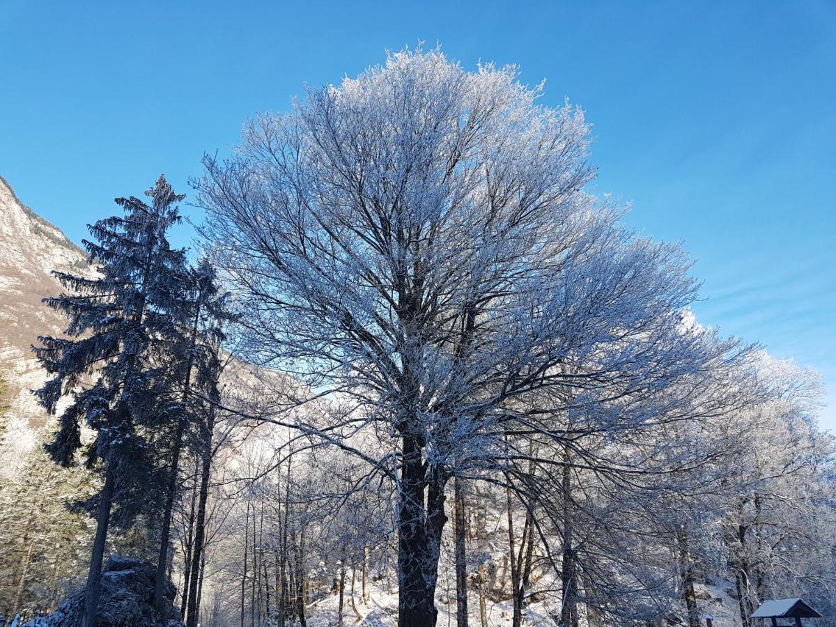 Hisa Erlah Hotel Bohinji-tó Kültér fotó